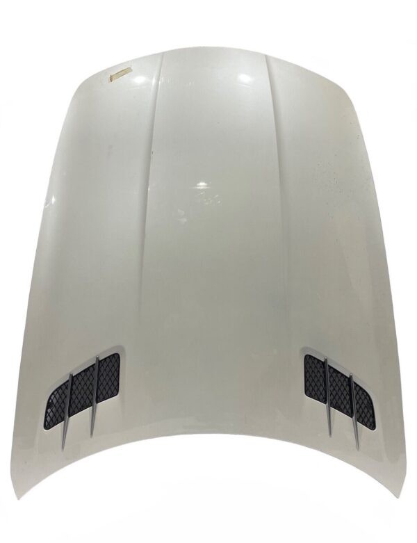 Mercedes SLS AMG GT / Front Bonnet / Part Number: A197003089 / Color: White Pearl