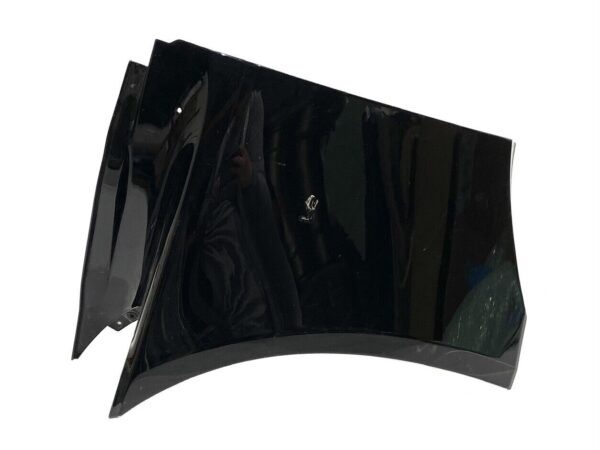 ASTON MARTIN links Kotflugelabdeckung left fender cover panel HY53 16006 AB 354666631175