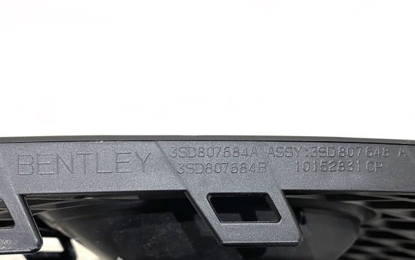 BENTLEY CONTINENTAL GT 2020 RH seiten grille side grill nr 3SD807684A 355182091325 4