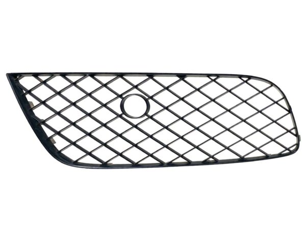 Bentley Continental GT GTC / Left Side Grille / Part Number: 3W3807647C