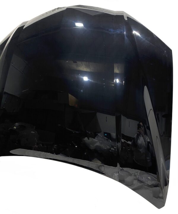 LAMBORGHINI URUS motorhaube vorne front bonnet nr 4ML823029 SCHWARZ BLACK 353991700507 3